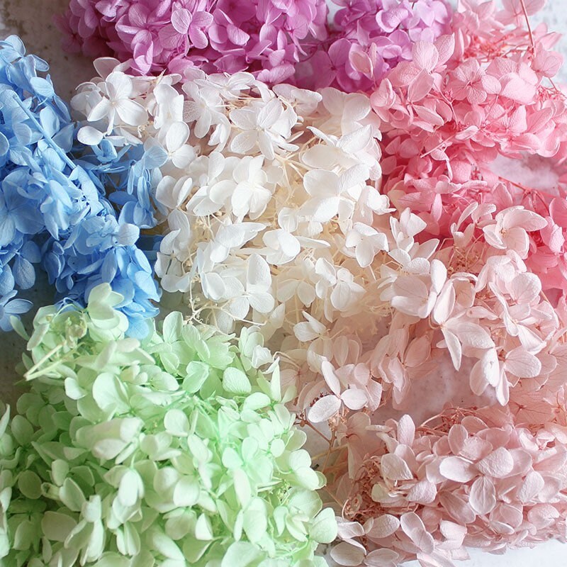 20G Preserved Hydrangea 6 Different Color, Handmade Material