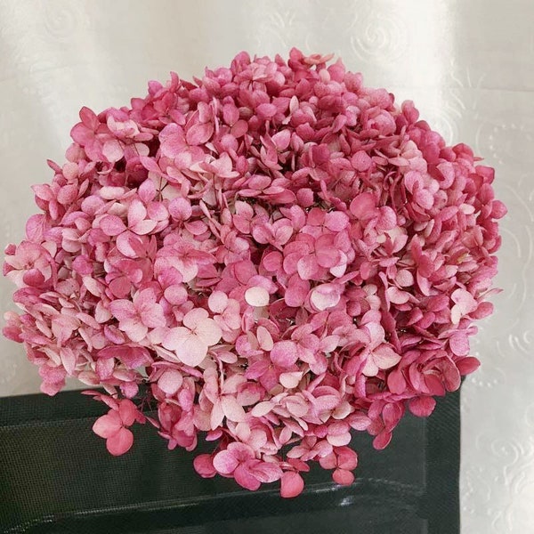 Preserved hydrangea big size D20cm pink purple