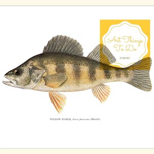Fish Art, Wall Art, Pan Fish, Digital Prints, Home Decor, Vintage Prints, Fish Art,