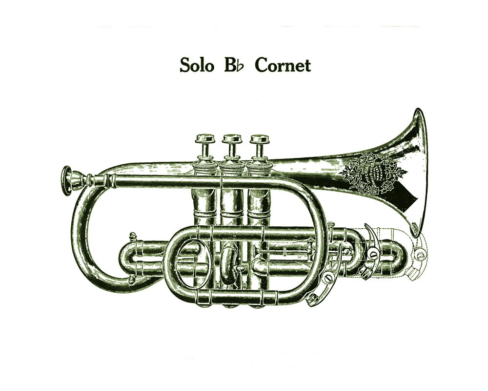 Band Instrument Trumpet (cornet) Drawing. Vintage Musical
