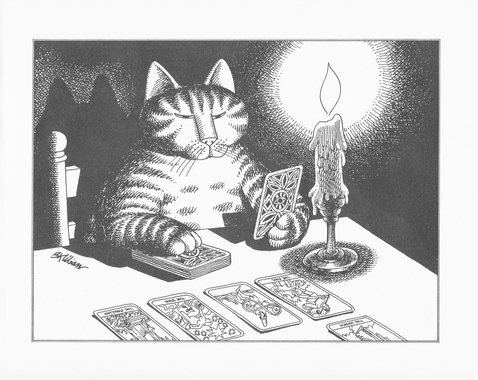 Гадания С Кошками