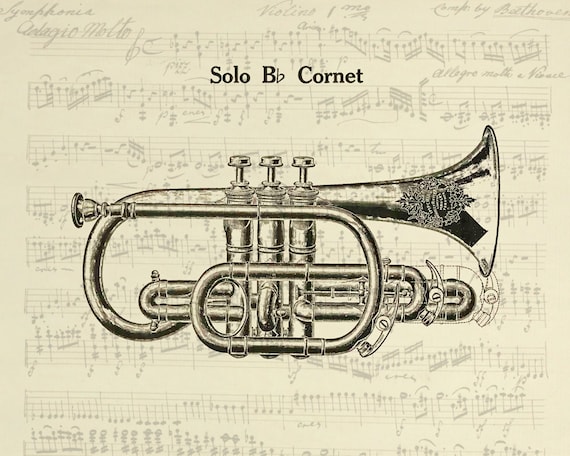 Band Instrument Trumpet (cornet) Drawing. Vintage Musical