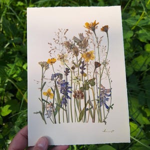 Une carte de voeux avec de VRAIS fleurs pressées, fleurs pressées artistiques, design botanique unique, carte faite main, herbier, cadeau écologique, Oshibana