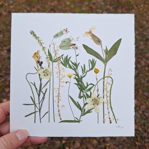 Een botanische kaart met geperste bloemen; Herbarium; Handgemaakt cadeau; Geperste bloemkunst; Handgemaakte kaart; Cadeau natuurliefhebber; Uniek bloemdessin