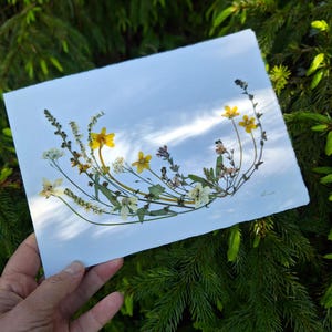 A Birthday Card with REAL Pressed Flowers, Pressed Flowers Artwork, Handmade Card, Personal Gift, Unique Botanical Design, Oshibana, Gift