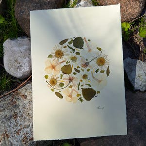 Tarjeta con flores prensadas, hecha a mano, botánica, regalo de cumpleaños con flores prensadas, diseño botánico único, regalo para amantes de la naturaleza.