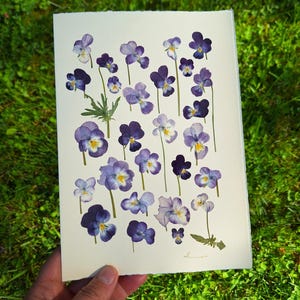 Une carte de voeux avec de vraies fleurs pressées, cadeau personnel, carte faite main, art botanique, art de fleurs pressées, carte d'anniversaire, fleurs pressées