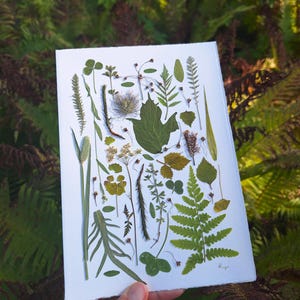 Une carte de saison avec de VRAIS plantes pressées | Oeuvre d'art botanique unique | Conception florale| Carte faite main| Cadeau pour les amoureux de la nature | Herbier| Cadeau écologique