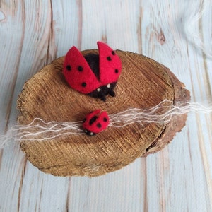 Felted Ladybug set headband Felted newborn props Felted tieback and stuffy ladybug photography props Felted newborn props Felt decor