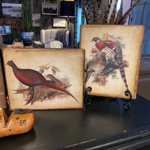 Set of 2/Vintage Pheasants