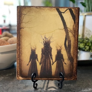 Brujas del bosque