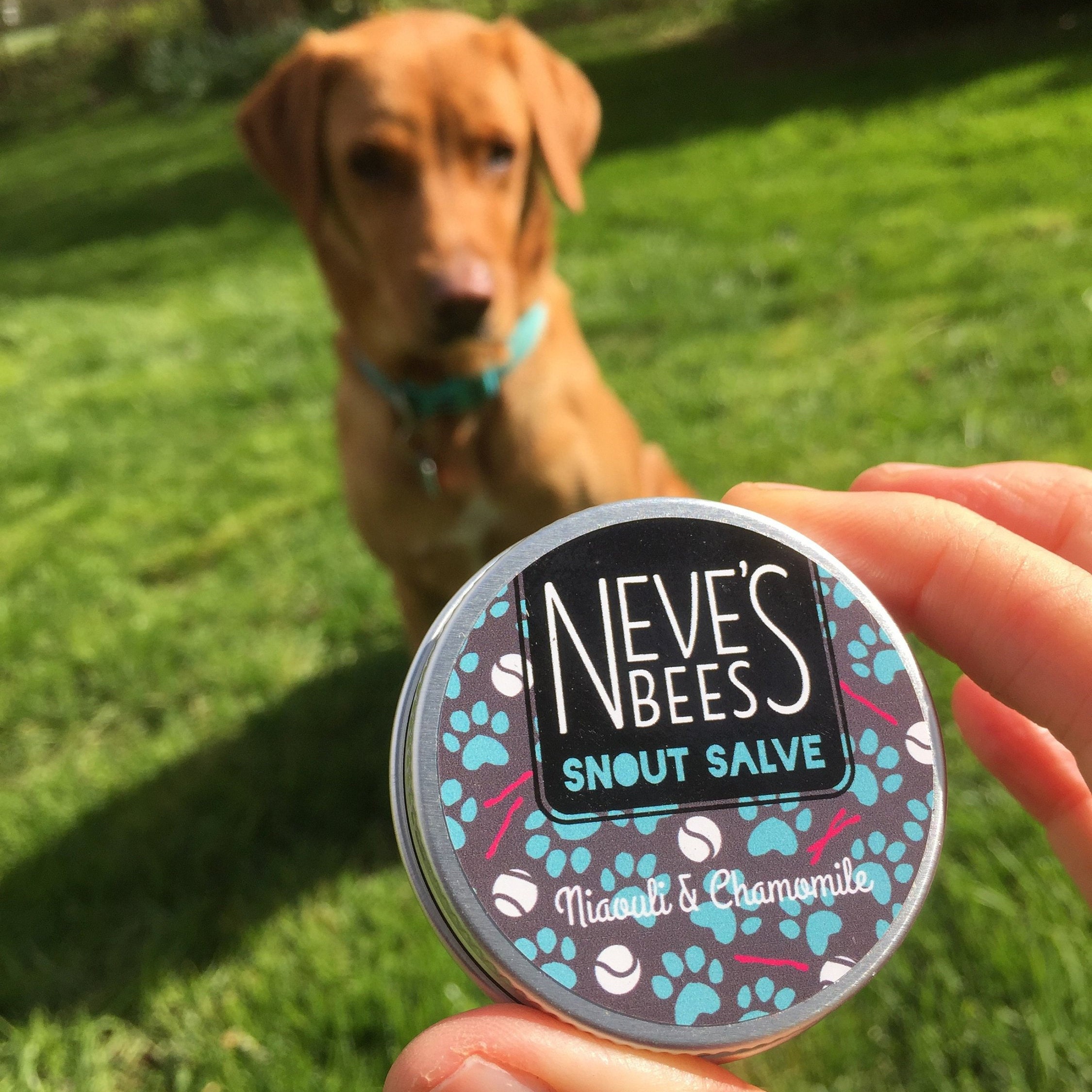 Gift for Dogs Beeswax Paw Balm and Snout Salve 2 X 30ml Tins in Gift