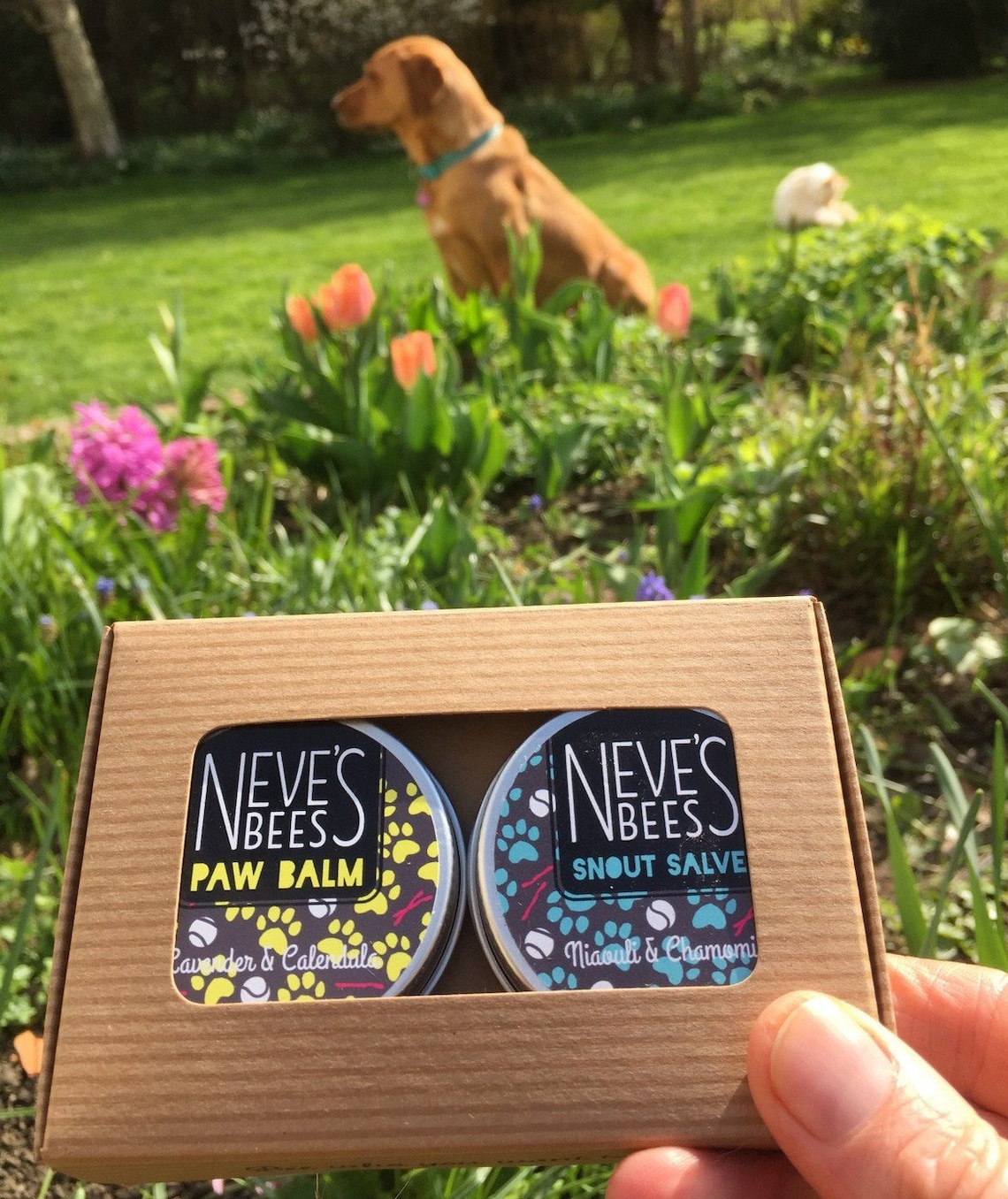 Gift for Dogs Beeswax Paw Balm and Snout Salve 2 X 30ml Tins in Gift