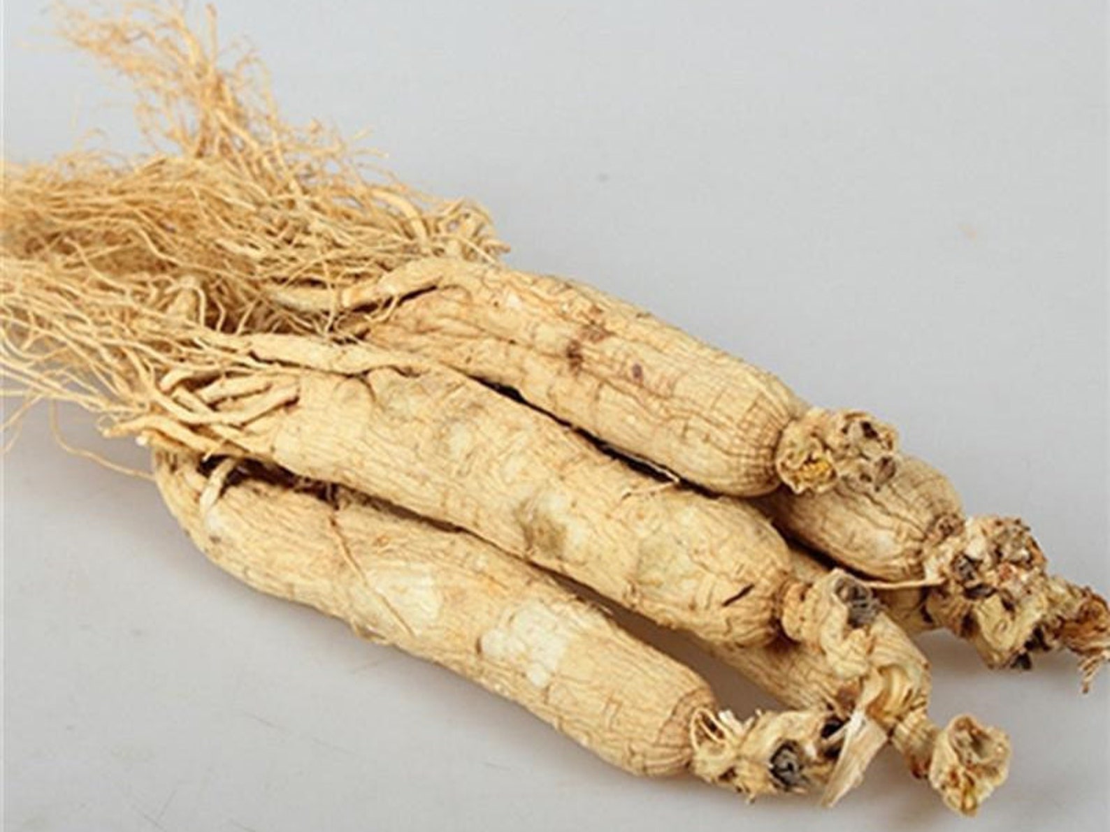 Корень женьшеня отзывы. Panax Ginseng. Корень женьшень Panax. Корень женьшень чипсы. Корень женьшеня фото.