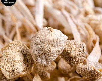 Enokitake (えのき茸, 팽이버섯), Flammulina Velutipes 金针菇