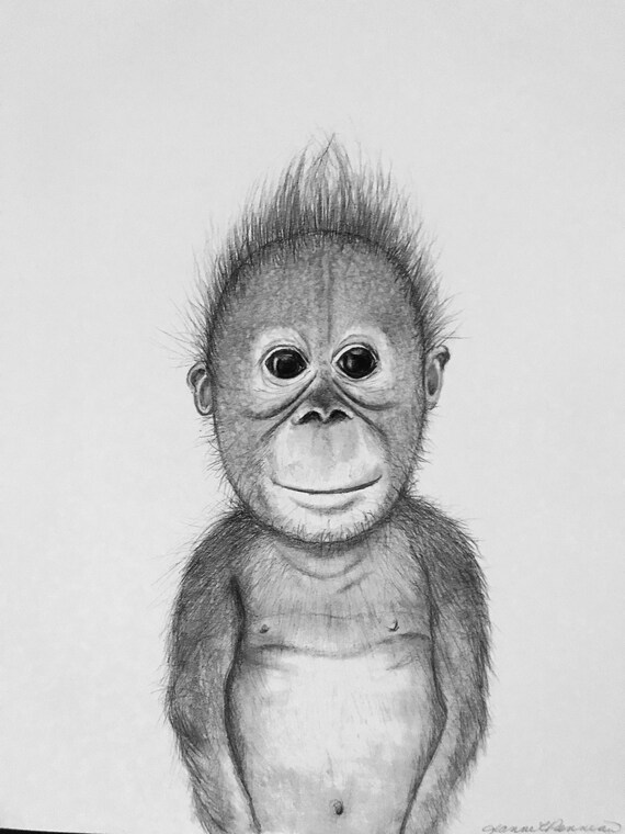 Baby Monkey Etsy Baby Monkey Etsy
