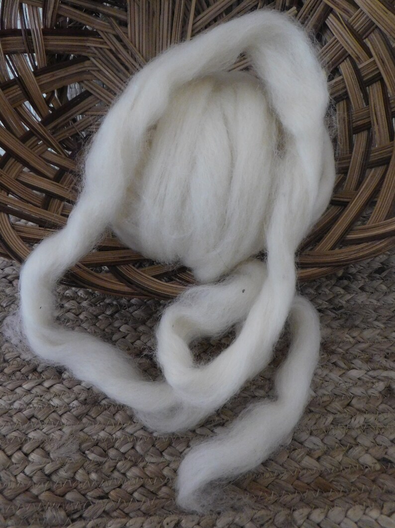 Mohair X Leicester roving