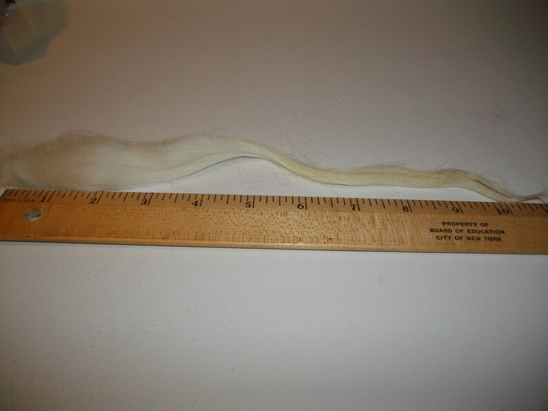 100/% Heath Veluwe washed fiber Sheep fleeces-