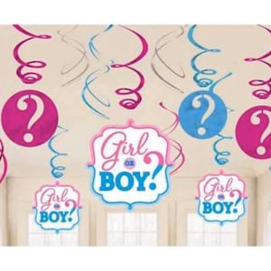 May include: Gender reveal party decorations featuring pink and blue question mark swirls and signs that read "Girl or Boy?" The decorations include hanging swirls and signs with a white border.