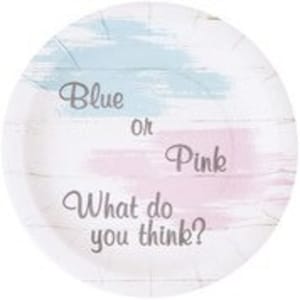 Blue or Pink, What Do You Think? Gender Reveal Dessert Plates, Set of 8, Gender Reveal Party