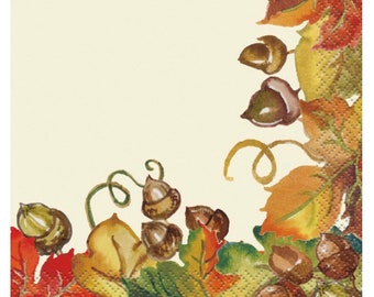 Harvest Pumpkins 5” Beverage Napkins, Set of 24, Thanksgiving Table