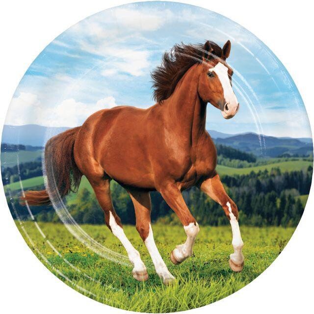 Horse And Pony 9 Paper Dinner Plates Set of 8 Cowboy or Cowgirl Birthday Party Cowboy Balloon Farm Animal Party