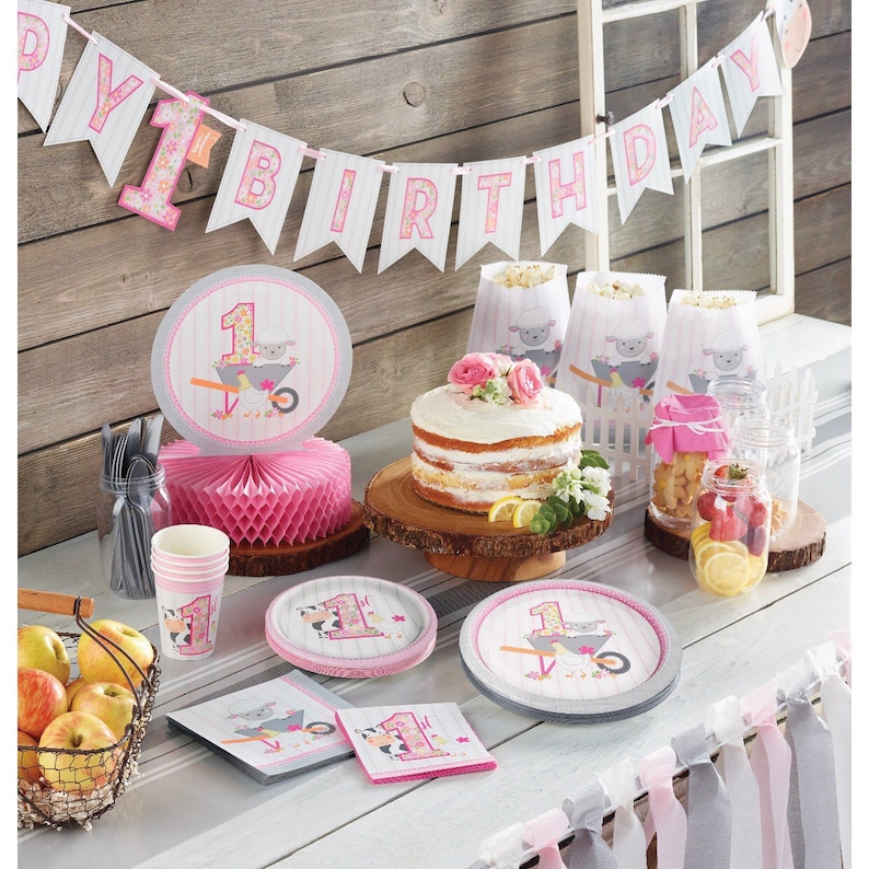 Set of 16 Pink Farmhouse Party Farm Party Luncheon Napkins Barnyard Party