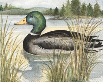 Mallard Duck Napkins, IHR 3-Ply Paper Napkins, 20-Count Beverage Size 5”x5”, Mallard Duck Napkins
