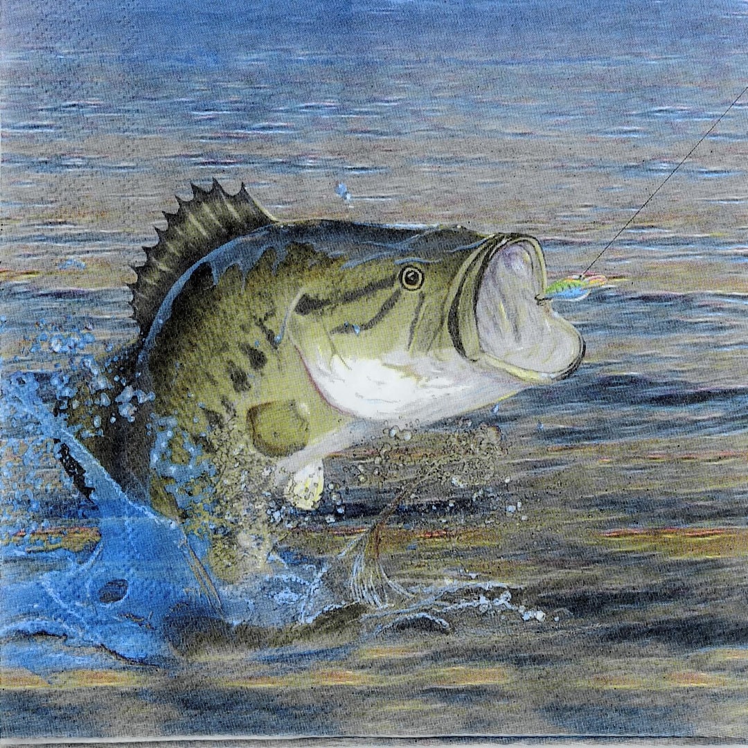 Gone Fishing Bass Luncheon Napkins, Set of 16 Napkins, Fish Tableware,  Retirement Party -  Ireland