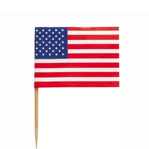 May include: A miniature American flag on a wooden toothpick. The flag features a blue canton with white stars and red and white stripes. The flag is a patriotic symbol.