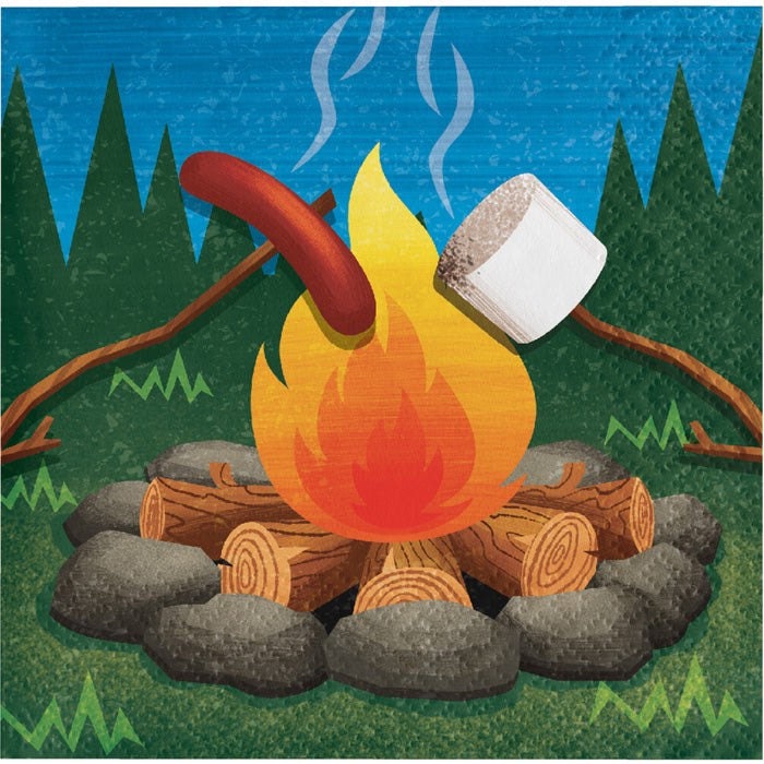 Camp Out Birthday Beverage Napkins 5 16 Count Camping Party Camping Napkins Camper Birthday