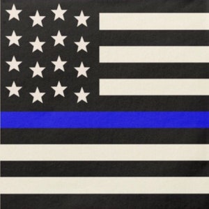 Thin Blue Line Law Enforcement Party Luncheon Napkins, Set of 16, Police Party, Police Retirement, Police Theme Birthday Party