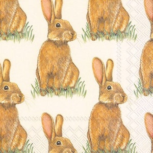 Bunny Rabbit Luncheon Napkins, Easter Napkins, Bunny Birthday Party, Bunny Baby Shower, Set of 20, Somebunny is One