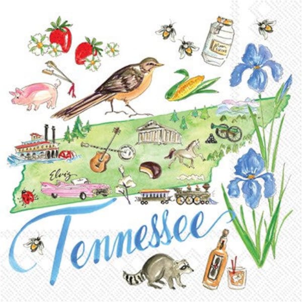 Tennessee Cocktail Napkins, Set of 20, Tennessee State Napkins