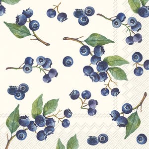 Blueberry Cocktail Napkins, Set of 20, Summer Birthday Party, Baby Shower