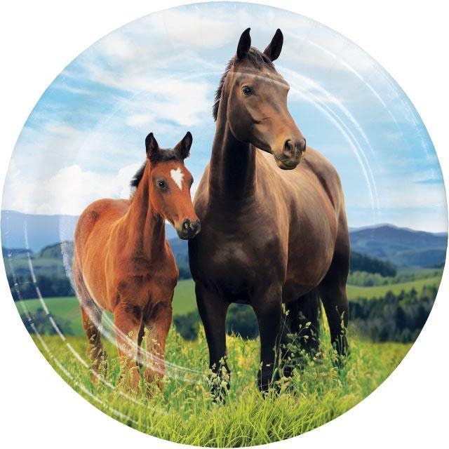 Horse And Pony 7 Paper Dessert Plates Set of 8 Cowboy or Cowgirl Birthday Party Farm Animal Party