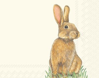 Bunny Rabbit Beverage Napkins, Easter Napkins, Bunny Birthday Party, Bunny Baby Shower, Set of 20, Somebunny is One