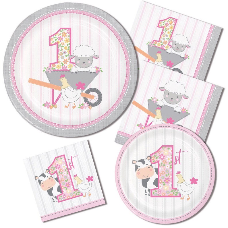 Set of 16 Pink Farmhouse Party Farm Party Luncheon Napkins Barnyard Party