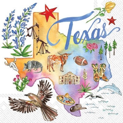 Texas Cocktail Napkins, Set of 20, Texas State Napkins