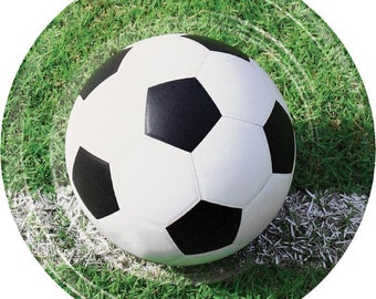 Sports Fanatic Soccer Dinner Plates, Set of 8, Soccer Party, Soccer Birthday, Soccer Theme
