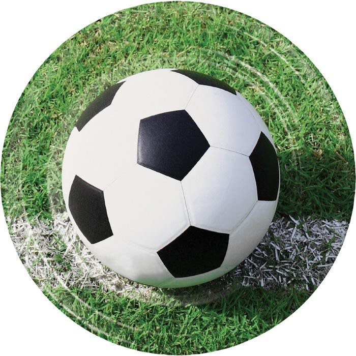 Sports Fanatic Soccer Dinner Plates Set of 8 Soccer Party Soccer Birthday Soccer Theme