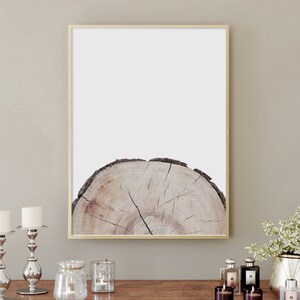 Tree Ring Prints, Wood, Poster, Tree Ring Wall Art, Wall Decor, Digital Download, Living room Print ,Photography,Art Prints,Downloadable Art