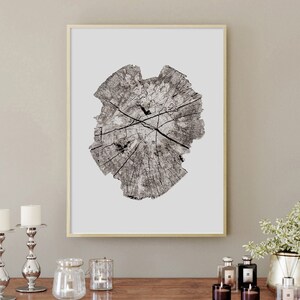 Tree Ring, Prints, Tree Ring Wall Art, Wall Decor, Digital Download, Wood, Living room Print ,Photography, Art Prints, Downloadable Art