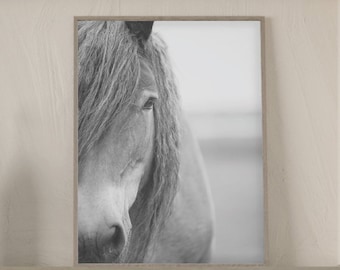 Stampa cavallo stampabile parete arte Poster bianco e bianco cavallo fotografia istantanea Scaricare Cavallo Arte stampabile, Modern Horse Art, Grande Arte