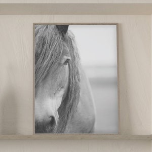 Horse Print Printable wall art Poster Black and White Horse Photography Instant Download Horse Printable Art, Modern Horse Art, Large Art