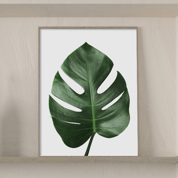 Monstera leaf poster, Green leaf Print, Botanical poster, printable art, Tropical leaf, Photography, Leaf poster, Wall Decor,Dining room art