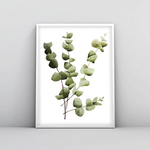 Eucalyptus Print, Watercolor Print, Eucalyptus Wall Art, Leaf Print, Kitchen Art, Botanical Wall Art, Eucalyptus Poster, Printable Wall Art