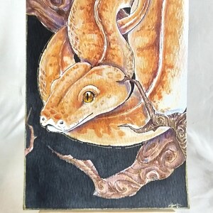 Può includere: Dipinto ad acquerello di un serpente marrone chiaro avvolto attorno a un ramo. Il serpente ha un corpo marrone chiaro con segni marroni più scuri e un occhio giallo. Il ramo è di colore marrone scuro con un motivo a spirale marrone chiaro.