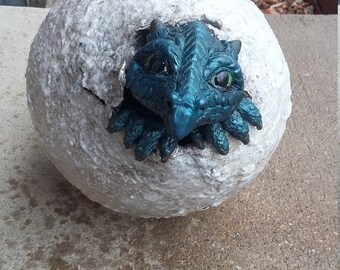 Blue Dragon oeufs tortues
