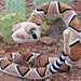 Sassy Serpent Soft Snake Toy Sewing Pattern - the Rustic Horseshoe - Etsy